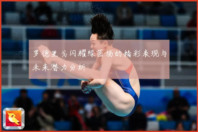 罗德里戈闪耀绿茵场的精彩表现与未来潜力分析