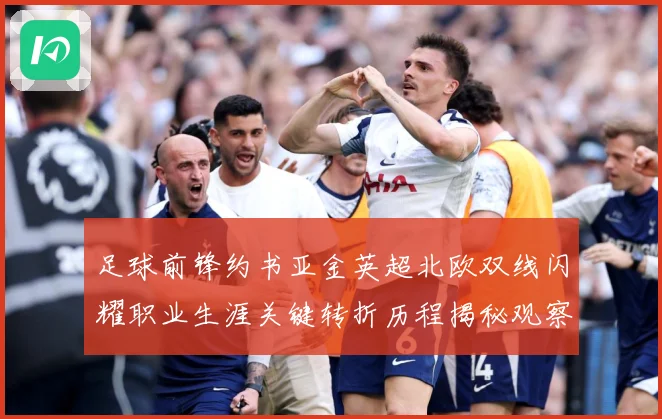 足球前锋约书亚金英超北欧双线闪耀职业生涯关键转折历程揭秘观察